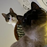 катя васильева