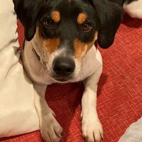 Наталья Ларгина