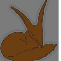 Светлана Додеус