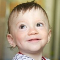 Владимир Рапацкий