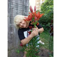 Алла  Дубровская