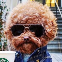 Илья Киселев