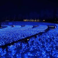 Дарья Фоменко