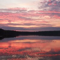 Софья Попова