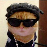 Владислава