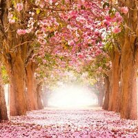 Самира Заманова