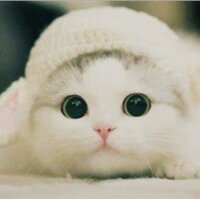 Александра Обухова