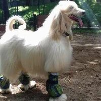 Иван Соловьёв