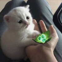 ♡