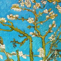 Дарья Носенко