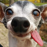 Альберт Исламов