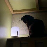 Вероника П.