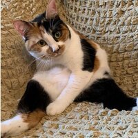 Алексей Рожнов