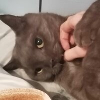 ольга андреева