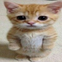 Намжил Дамбиев