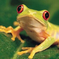 Сергей Цымбалюк