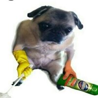 Данил Субботин