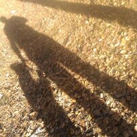 Александр Алексеев