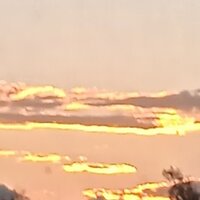 Екатерина Захарова