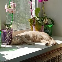 София Митрянина