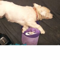 Павел Набок