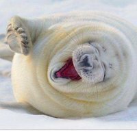 Екатерина Давыдова