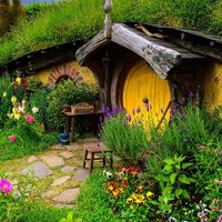 Анастасия Л.