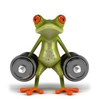 Владимир Рыбчук