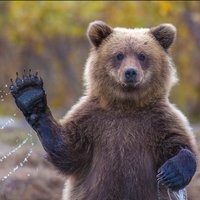 Сергей Власенко