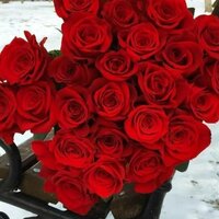 💐Аленка💐