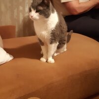 Елена Васильевна