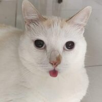 Айдана Рахманова