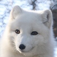 Илья Байков