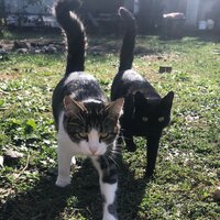 Анастасия Лыскова