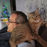 Третьяков  Владислав