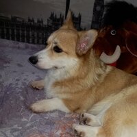 Игорь Рыбалкин