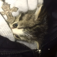 Анна Юркина