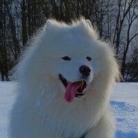 Саня Соловьев