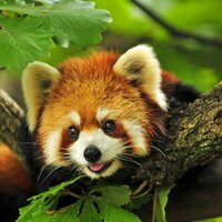 Виталий Башаров