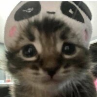 Анна Крышталь