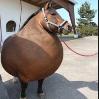 Анюта Смирнова