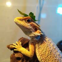 Никита Попов