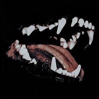 Никита Макаров