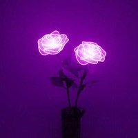 Ангелина С.