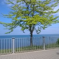 Юлия К.