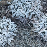 Марина Казарцева