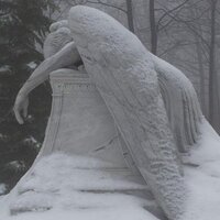 Полина Флеер