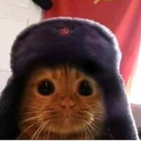 Андрей морозов