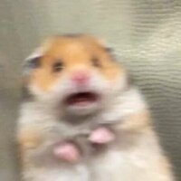 Мария Айдинян