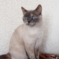 Оксана Отто